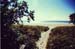 beach_path